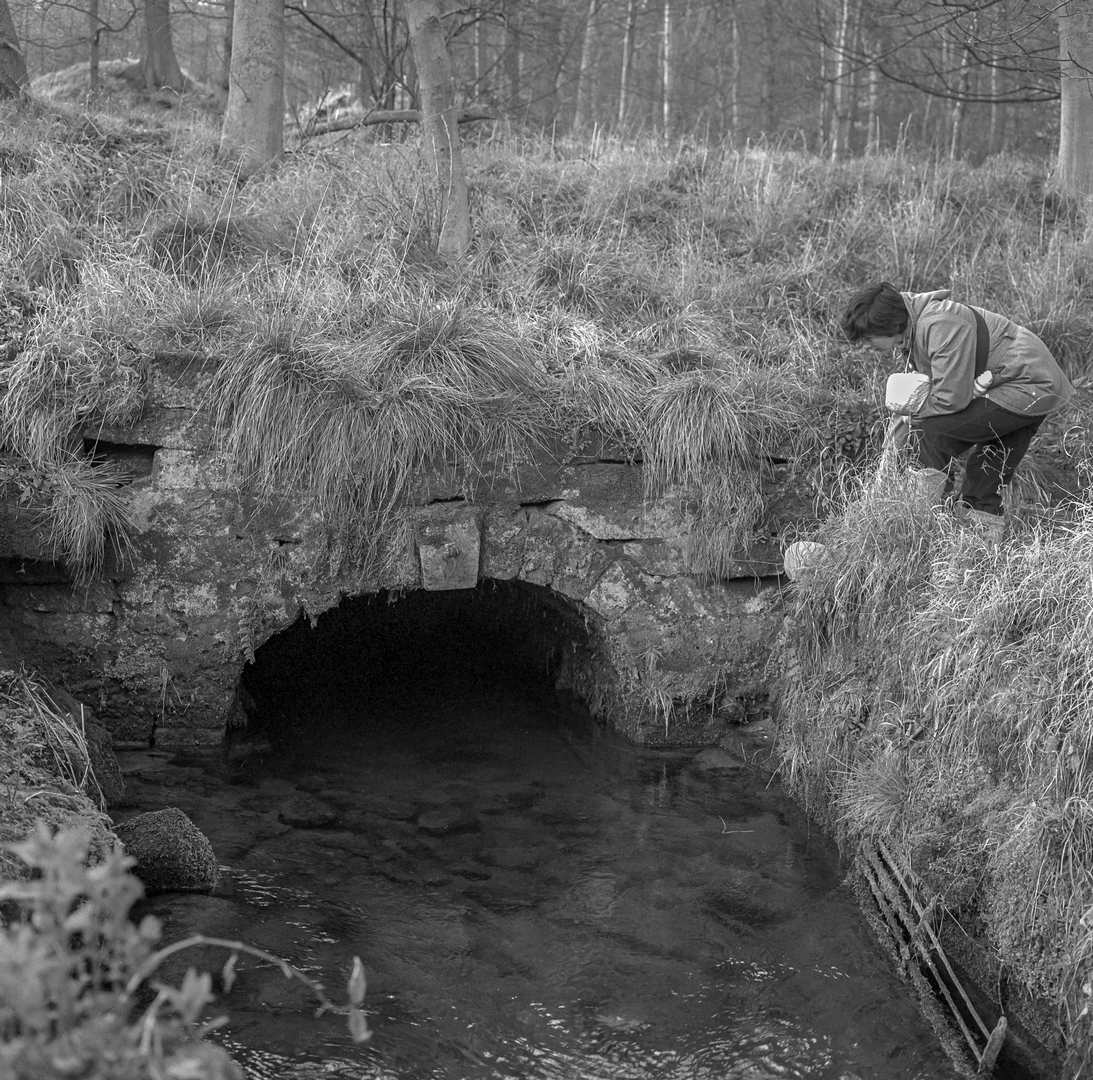 Hillcarr Sough tail 1971